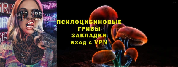 прущие крисы Елабуга