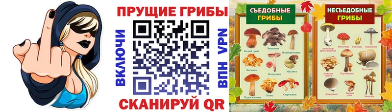 Псилоцибиновые грибы Magic Shrooms  shop наркотические препараты  Гудермес 